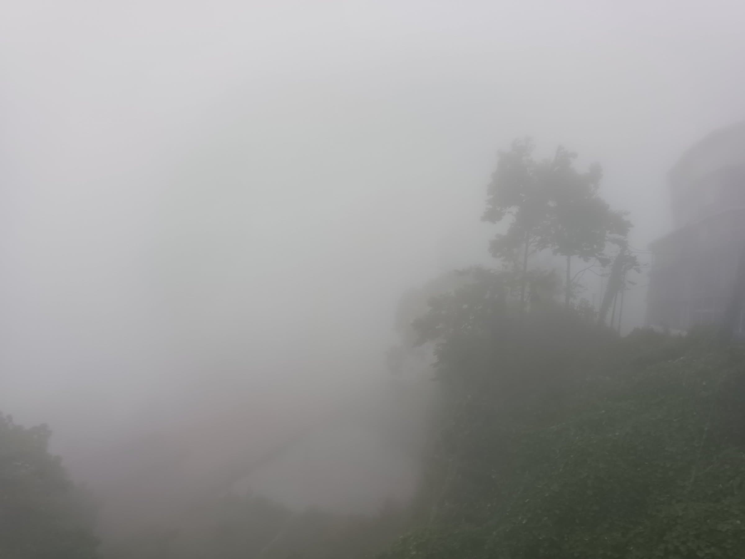 Rain and Fog Wrap Kurseong: A Student’s Monsoon Update